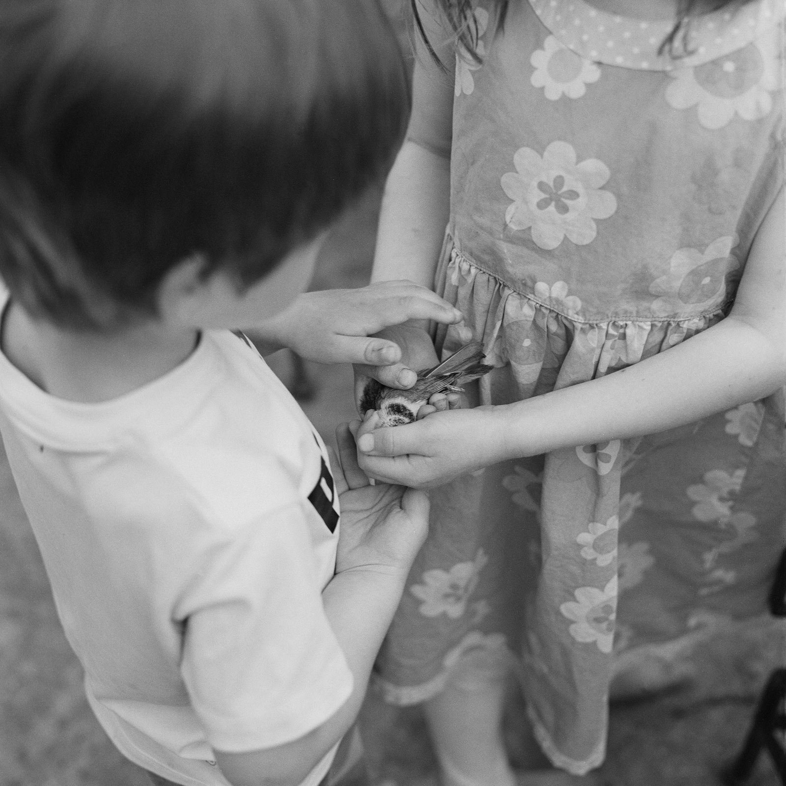 Familiar observations with Erinn Springer