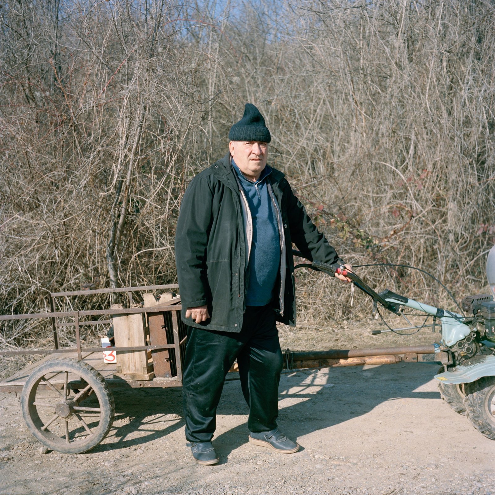 ‘Giants Above The Cherries’ with Petar Petrov