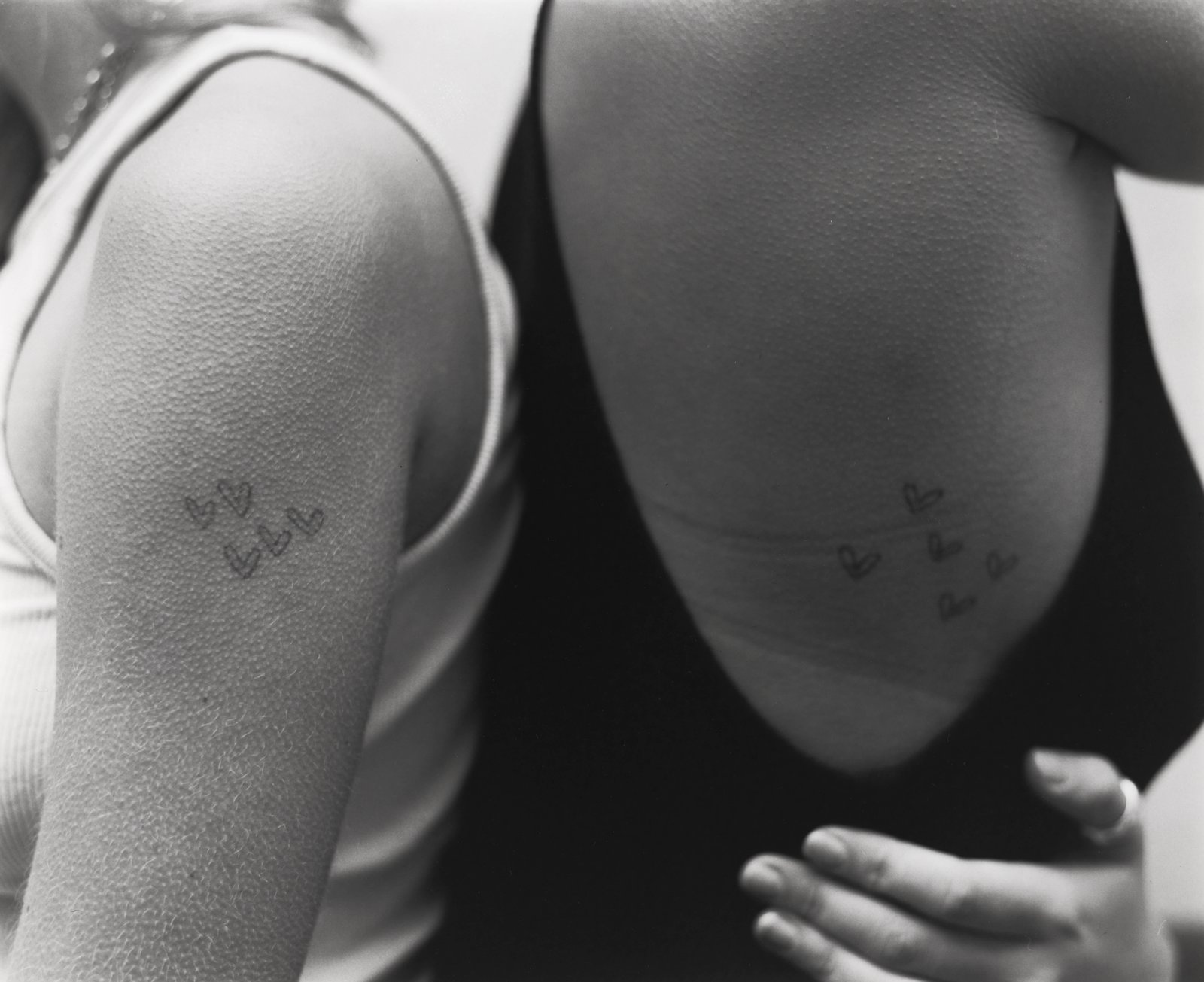 Lilah Culliford’s Kindred Language reflects on the intricate dynamics of sibling relationships