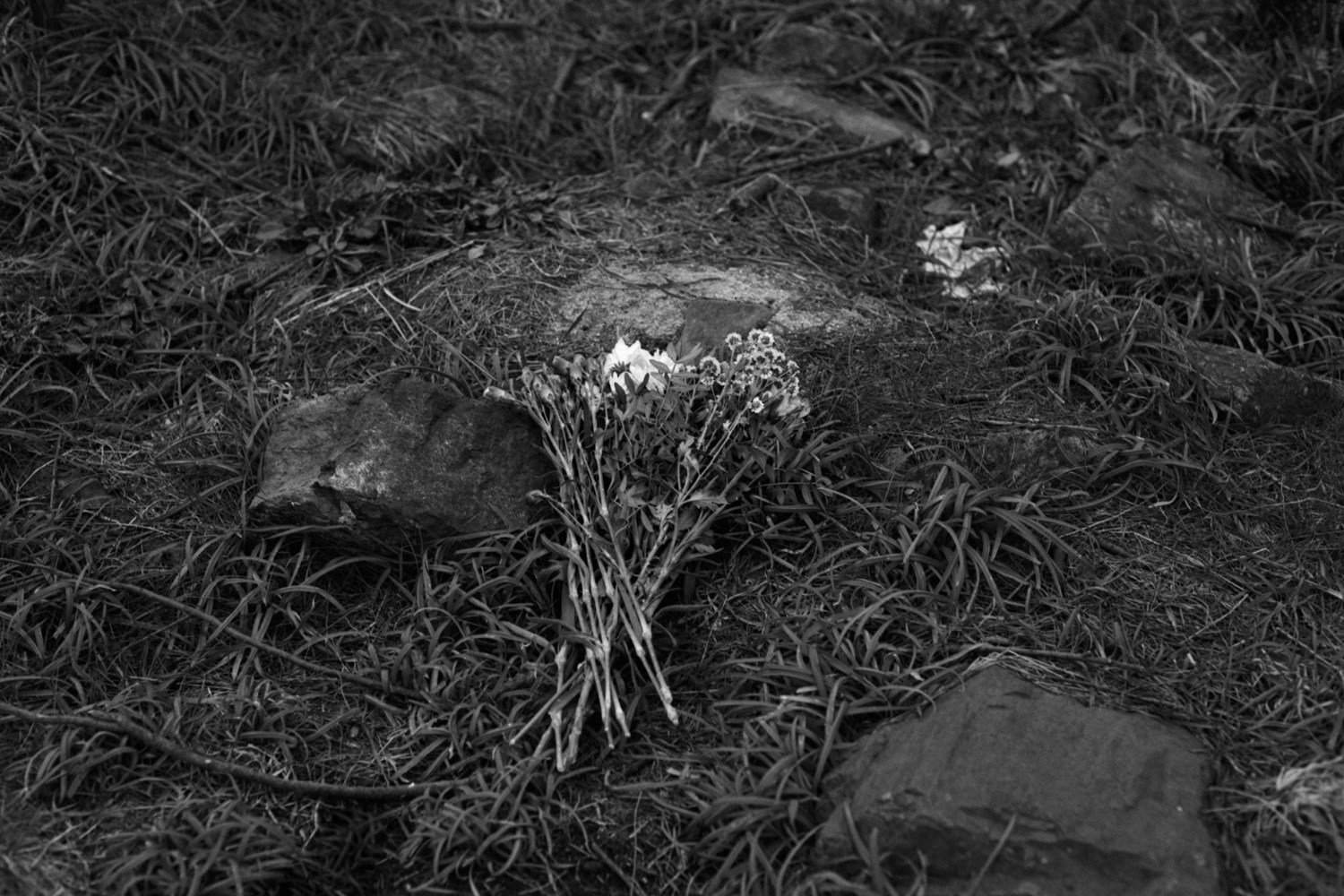 The relationship between music and photography with Simon Bray